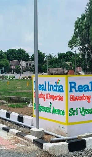 whatsapp image 2025 09 19 at 12.25.43 pm